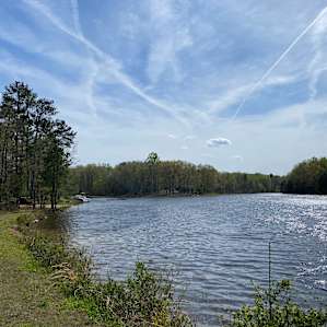 The Meadows of Chigger Creek