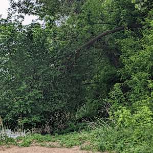 River Forest Haven- Open Camping