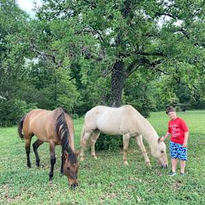 4C Ranch Adventure