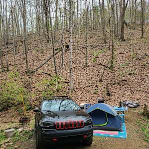 Holler Camping