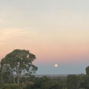 Gum Gully Heights, Rockleigh SA