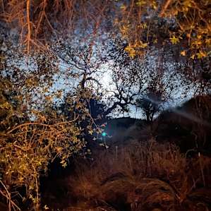Thousand Oaks Campsites