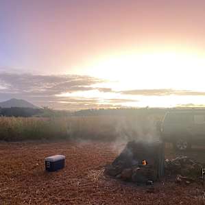 Site 5 Cabbage Gum Camp