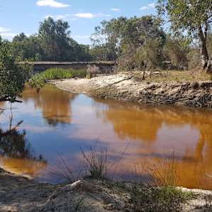 There were some extra tannins in the river during our trip which coloured the water. It was so lovely to have shallow water for our kids to play in safely and have a splash!