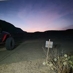 Coyote Crossing
