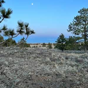 South Crow Cabin