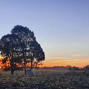 Escape Farm Camping