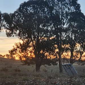 Escape Farm Camping