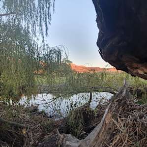 Escape Farm Camping