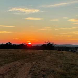 Mount Sugarloaf Avoca