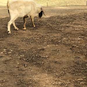 The Landing at Hay Valley Farm