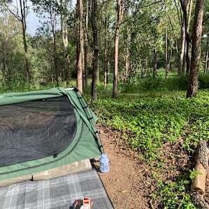 Pine River Campsite