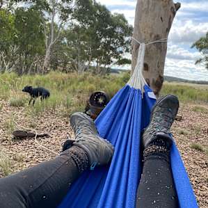 Pine Gums via Goulburn