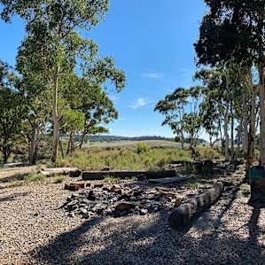 Pine Gums via Goulburn