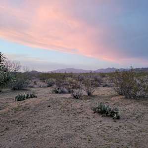 40 Acres of Desert Tranquility