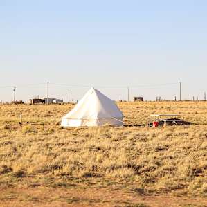 Starlight Tent 2 - Petrified Forest