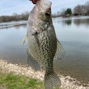 Great catch and release fishing!