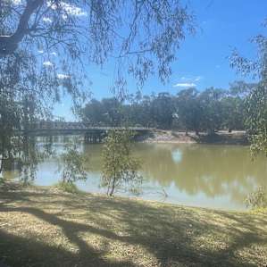 Murray River 'Pig Bend'