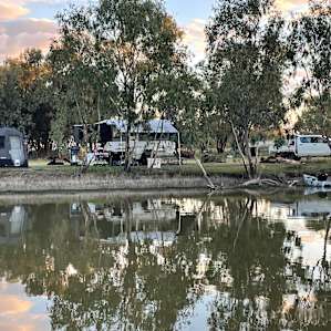 Curlew Camp - Birds & Fishing