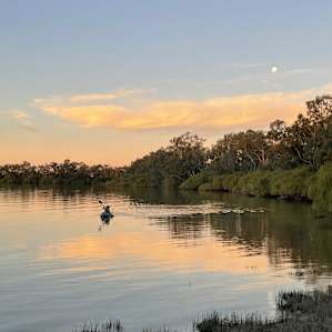 Curlew Camp - Birds & Fishing