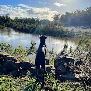 Weefarm Brisbane River Camping