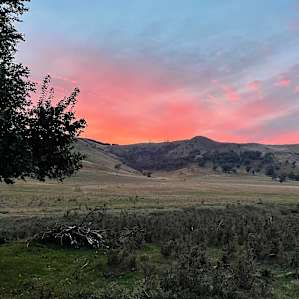Escape Farm Camping