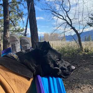 Back Forty Vineyards