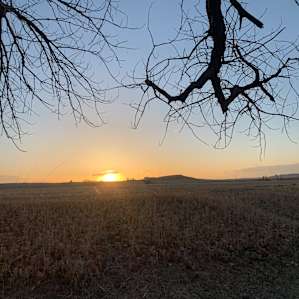 Beautiful Sunset