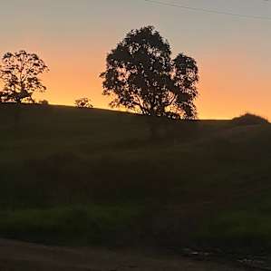 Dairy Camp - Choose your Campsite