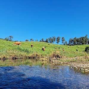 Dairy Camp - Choose your Campsite