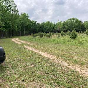Wooded Creek aka Bent Tree Camp