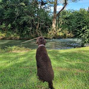 Someone enjoying the view from the campsite