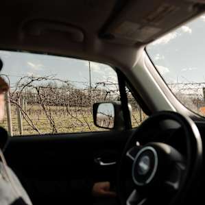 #1 - Hunt’s Hillside Vineyard-Foch
