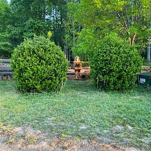 Relaxing RV Spot At Horse Farm