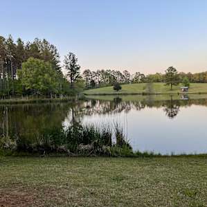 View from site 2