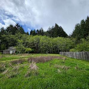 Honey House Meadow Cabin