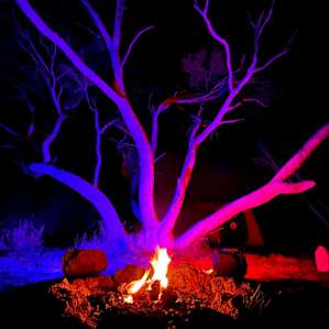 Rufus campsite