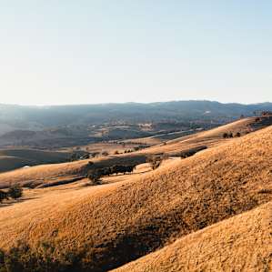 Escape Farm Camping