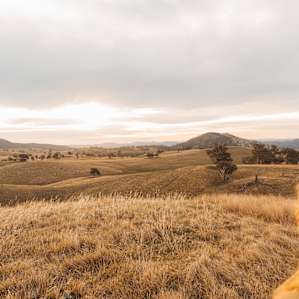 Escape Farm Camping