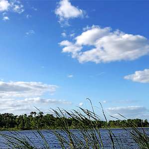 View of lake