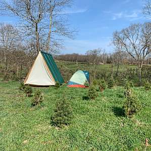 Site 6