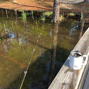 Fishing off dock
