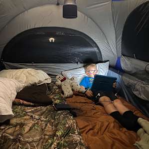 Wooded campsites on the Waccamaw