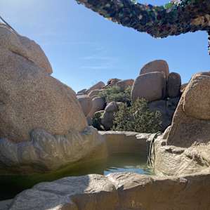 The pool