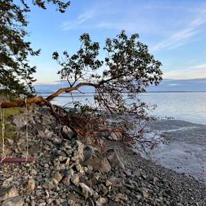 The Chuckanut Rock