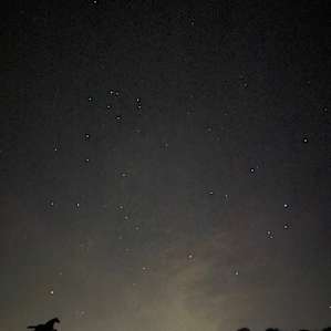 Beautiful night skies