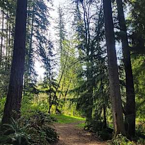 Walking trail on the property