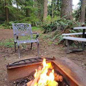 Cabin #3 firepit