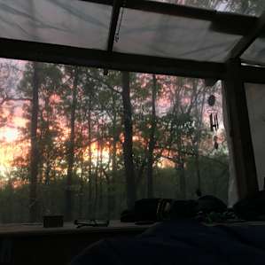 Barefoot Gardens Camp & Homestead