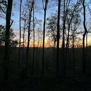 Great sunsets